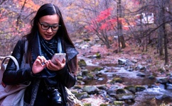 波动少女下载地址